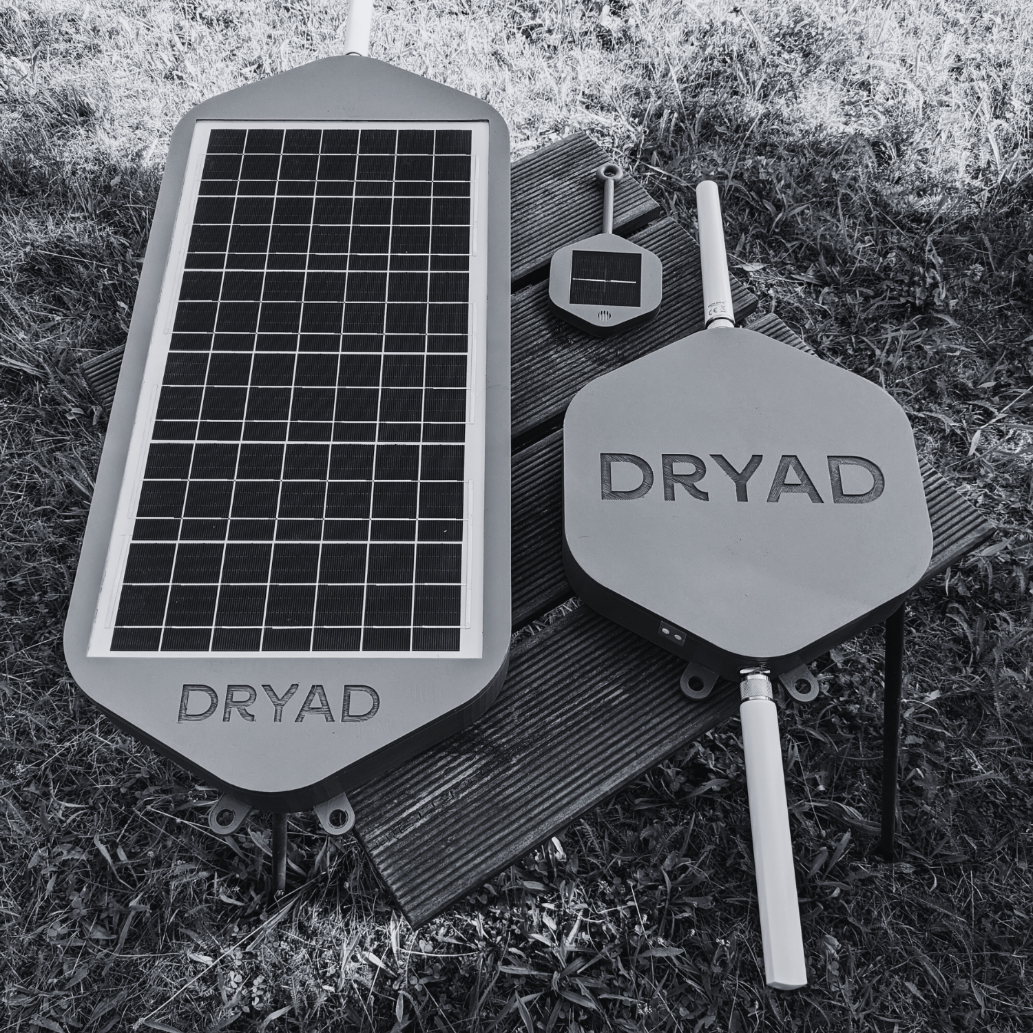 Dryad Fire Prevention