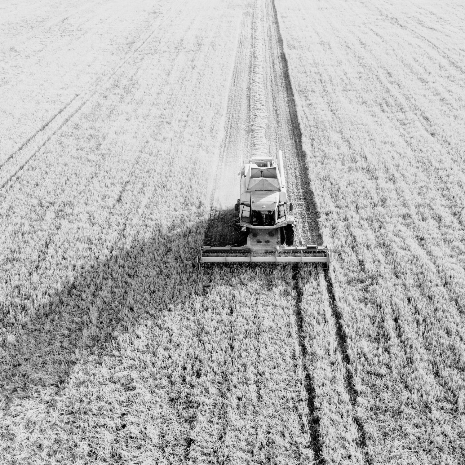 Agriculture Machinery