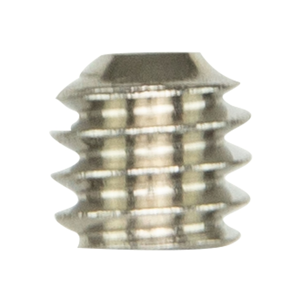 Grub Screw - Suits AS004